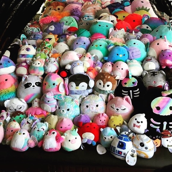 Meet your Posher, Jaime - Picture 2 of 15